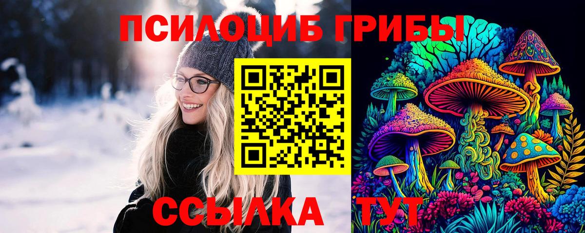 Галлюциногенные грибы Cubensis  Вход с VPN  Галлюциногенные грибы Magic Shrooms  Барнаул 